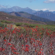 北アルプスの山々がよく見える