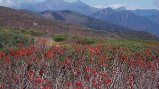 紅葉は10月はじめまで