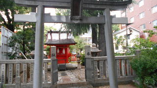 縁結びの三本杉