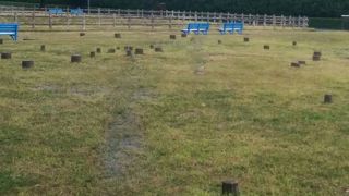 古代住居のある公園