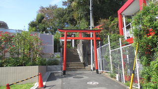 マイナーですねぇ。