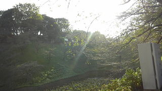 秋の北の丸公園