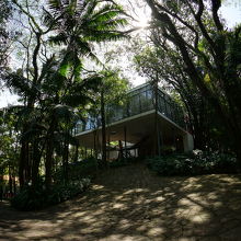 Casa de Vidro Lina Bo Bardi