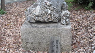 あるだけなので