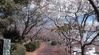 臥竜ヶ岡公園