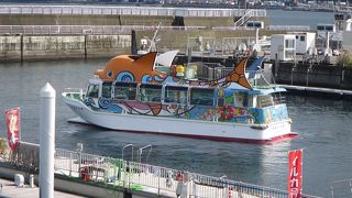 ベルクルーズ いとう