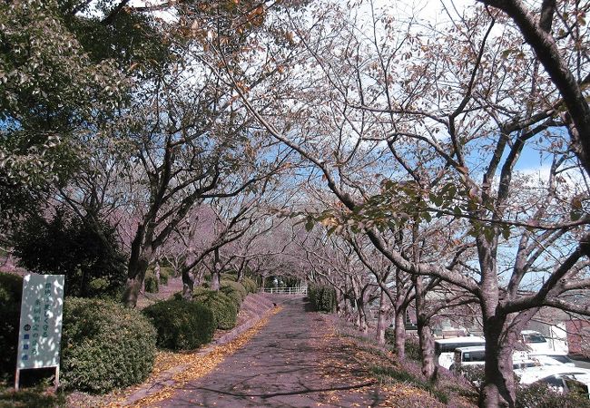 臥竜ヶ岡公園