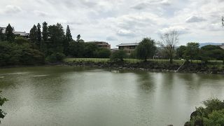 農家のための池