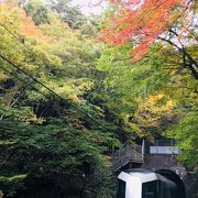 紅葉時期はフォトジェニックなローカル駅です。