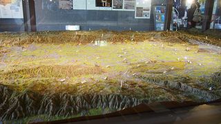 なんだか凄すぎて実感がわかない。