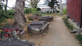 ホテイアオイがメインなのか？