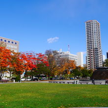 広々とした公園に聳えています