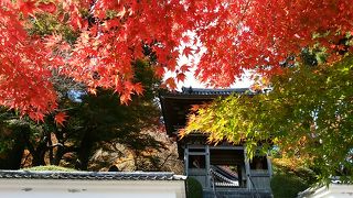 １１月６日訪問　綺麗な紅葉