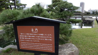 海水を調整させています