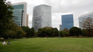 ただの芝生ではもったいない