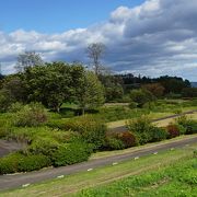 白石川の河川敷を整備した広大な公園