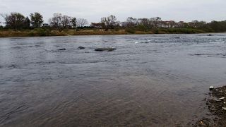 ほとんど見えない