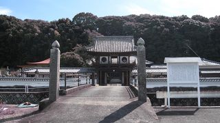 泰智寺