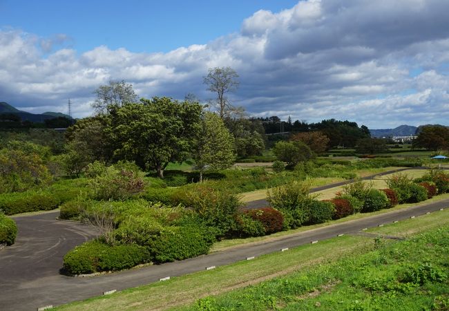 白石川の河川敷を整備した広大な公園