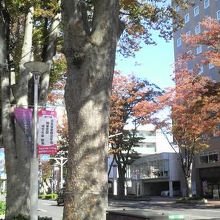 10月下旬で紅葉が始まってる木々が多かったです