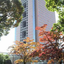 観光向けの見どころ豊富なビルです