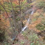 三頭山(2)登山途中で三頭大滝に寄りました