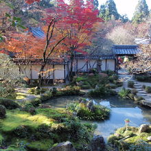 西明寺の蓬莱庭