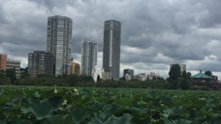 上野公園に隣接の池