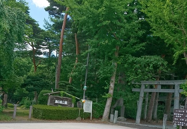 温泉神社もある