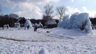 西湖 樹氷まつり