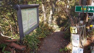 険しいけもの道のよう