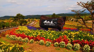 美瑛の入り口にある花畑　＠ぜるぶの丘