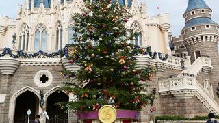 今年はシンデレラ城の裏にクリスマスツリーが!?