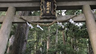 日本一のおみくじ