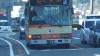 伊豆の各所を巡る