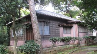 昔はもっと日当たりの良いところにあった？