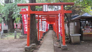 朱色の鳥居が一段と鮮やかでした。