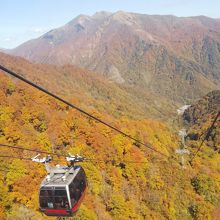 ロープウェイからの景色