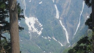 親切な運転手さんだわー