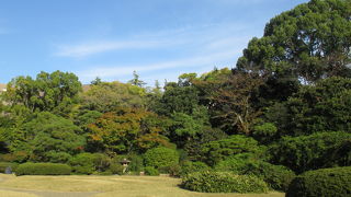 芝生が多用されたお庭です。