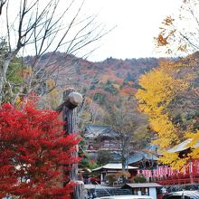 向かいの県営駐車場からみた立木観音