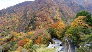渋滞は半端ではないが、紅葉は見事