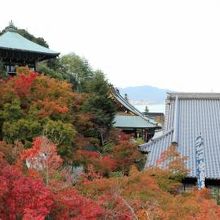 勅願堂前からは海が見えます。秋には紅葉の名所になります。