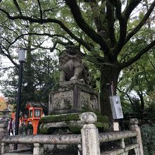 八坂神社の狛犬