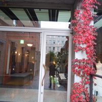 入り口の所の蔦の葉が真っ赤です