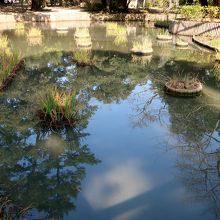祓の社の隣にある浄の池