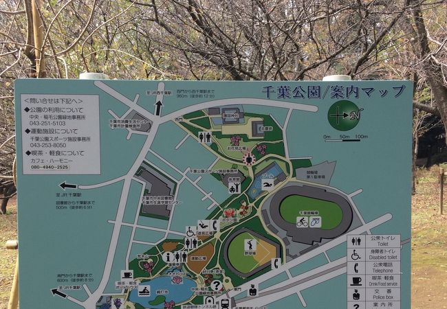 千葉公園 クチコミ アクセス 営業時間 千葉市 フォートラベル