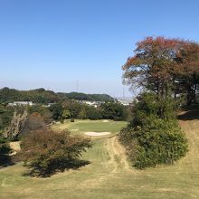 バンカーが可愛いショートホール