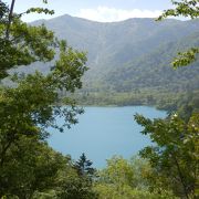 森に囲まれた神秘の湖