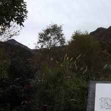 何が見所なのか知ったうえで見ないと・・・え、何？の風景かも